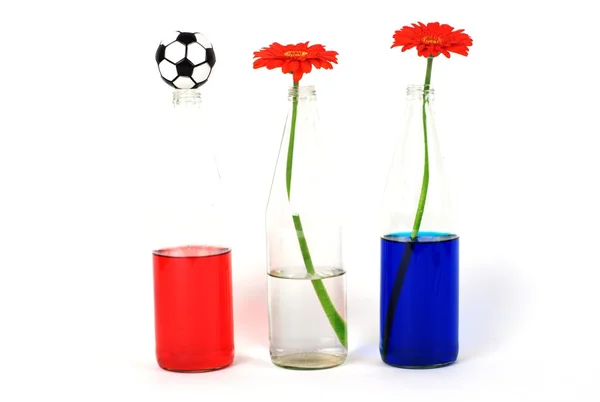 Nederländsk flagg, blommor och fotboll Stockbild