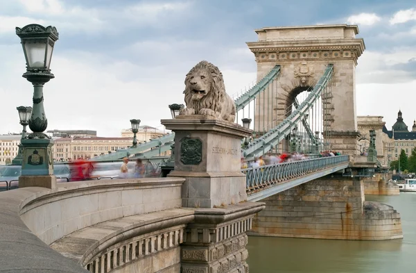 Budapest - Chain Bridge — Stock Photo, Image