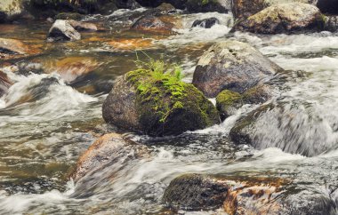 Large stones in the water. The rapid flow of the river. clipart