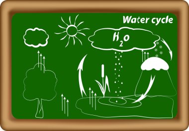 Water cycle. hydrological cycle. H2O cycle clipart