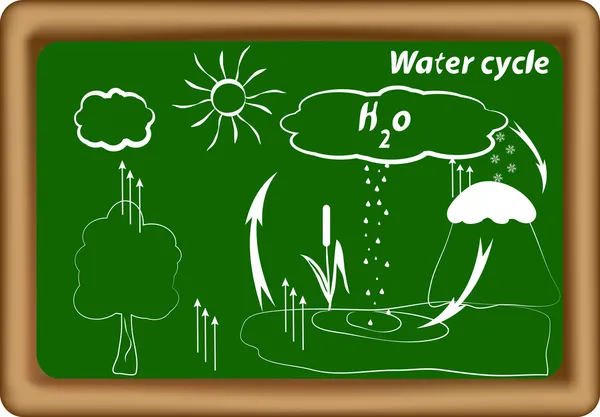 Ciclo del agua. ciclo hidrológico. Ciclo H2O — Vector de stock