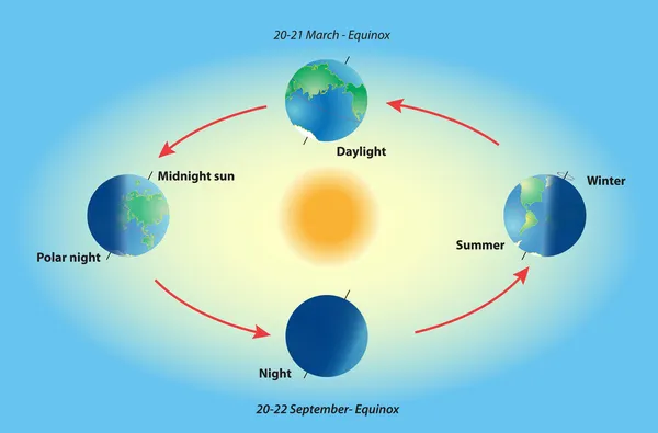 Сезон на планете Земля. Равновесие и солнцестояние. Полярная ночь. Полуночное солнце. Солнечный день. Осеннее равноденствие — стоковый вектор