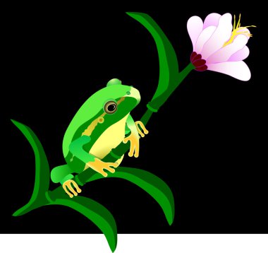 Hula frog on a flower clipart