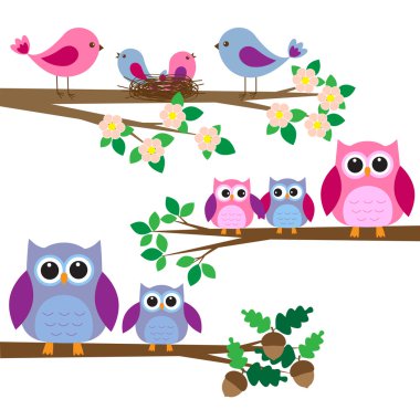 Owls and birds clipart
