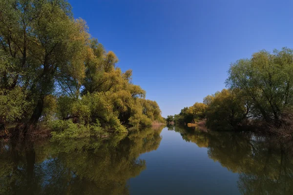 Tuna Deltası'nda nehir kanalı — Stok fotoğraf