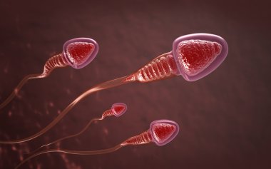 sperm hücreleri yüzmek için yumurta