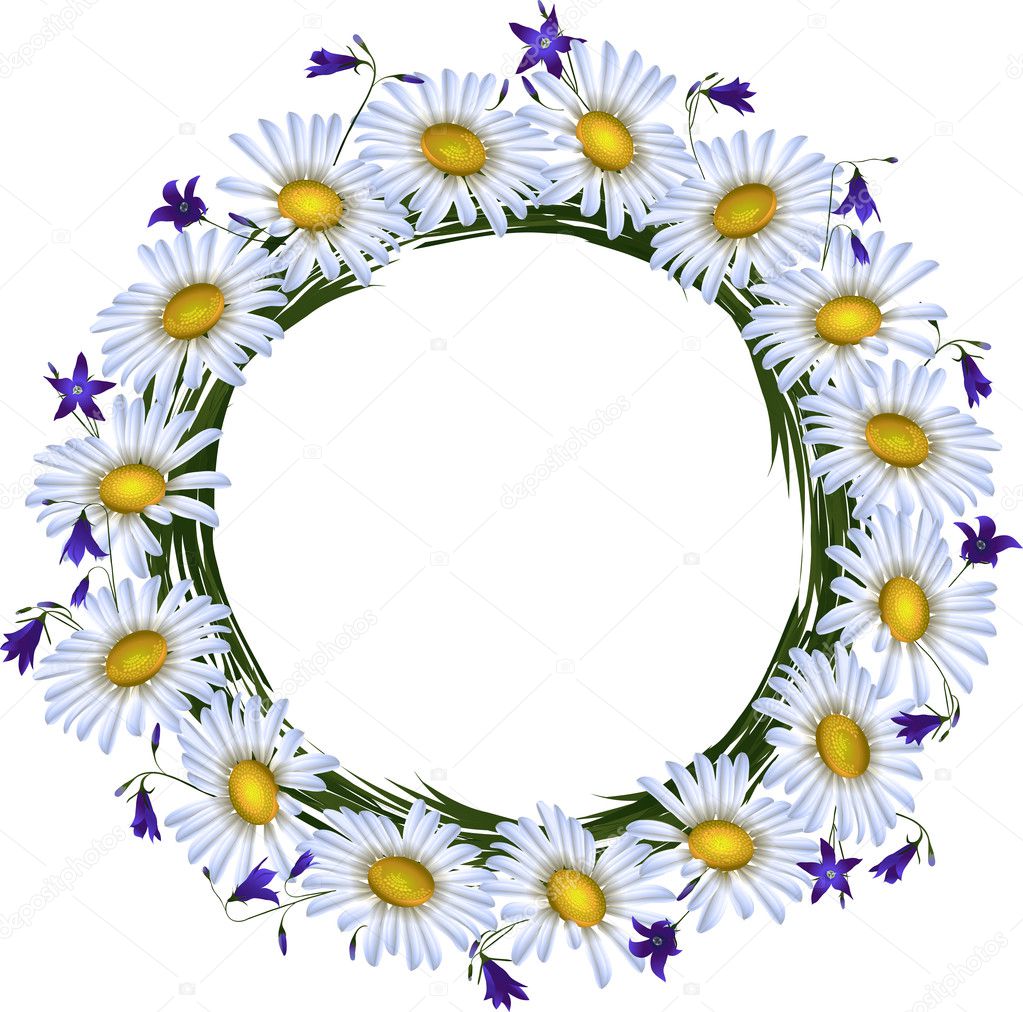 Chamomile and hand-bell. Flower frame or chaplet