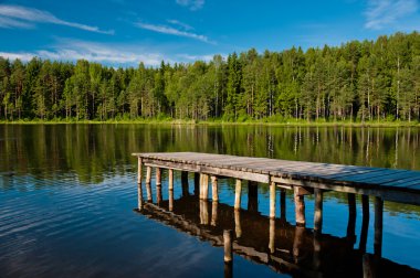 Wooden pier with forest scene clipart