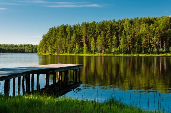 stock image Wooden pier and forest on lake