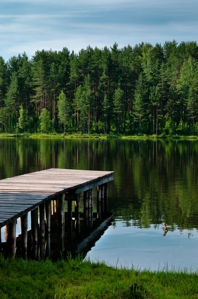 Stock image Landscape with pier vertical view