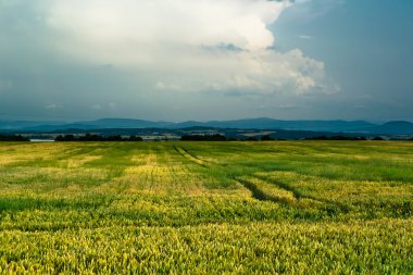 mooi landelijk uitzicht met cloudscape