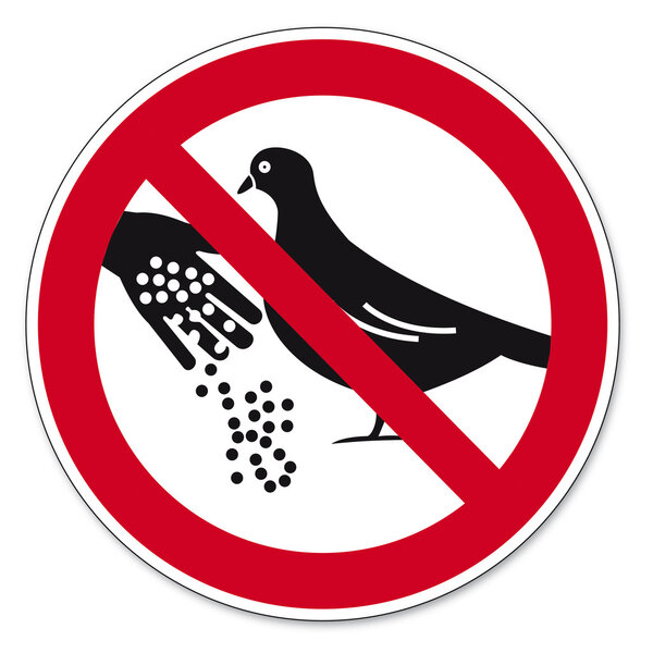 Prohibition signs BGV icon pictogram Pigeon feeding banned