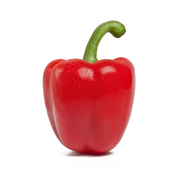 Red Paprika bell pepper bio — Stock Photo, Image