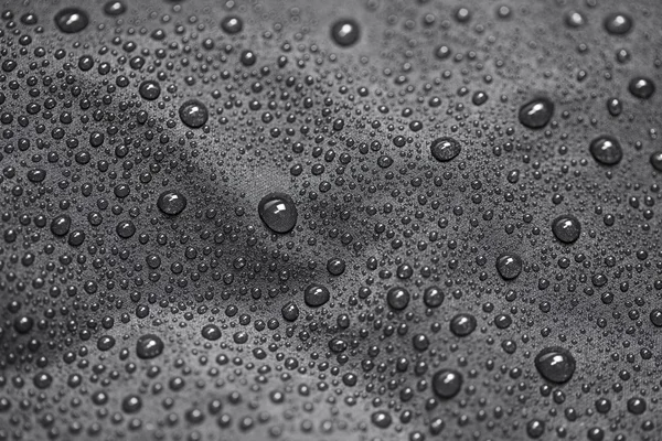 Λωτού με νερό που πέφτει σε μαύρο κλωστοϋφαντουργίας — Φωτογραφία Αρχείου