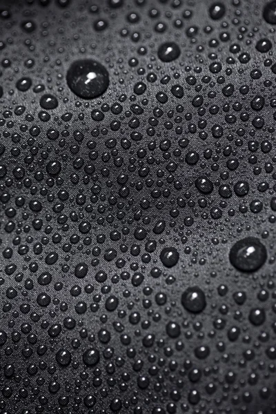 Λωτού με νερό που πέφτει σε μαύρο κλωστοϋφαντουργίας — Φωτογραφία Αρχείου