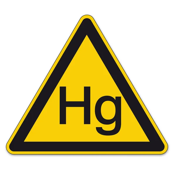 Σήμανση ασφάλειας warndreieck bgv a8 σημάδι τριγώνων προειδοποίησης διανυσματικά εικονόγραμμα εικονίδιο υδραργύρου — Διανυσματικό Αρχείο