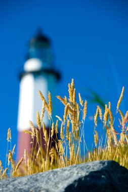 Montauk Lighthouse clipart
