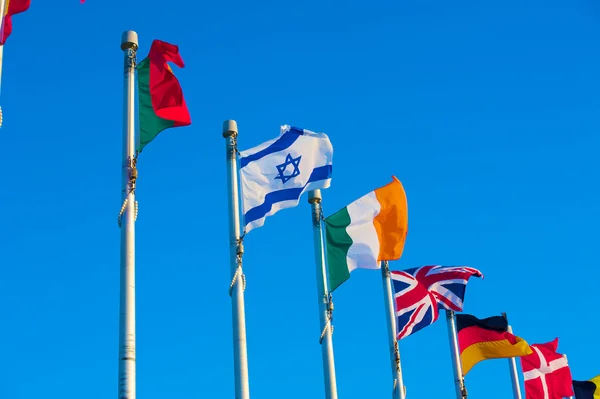 stock image Memorial Flags