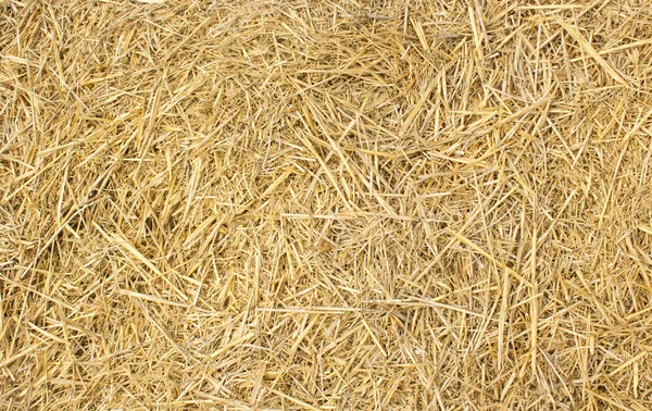 黄色の干し草の背景 ロイヤリティフリーのストック写真