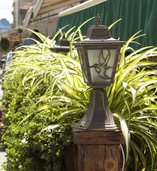 stock image Street lights and plants