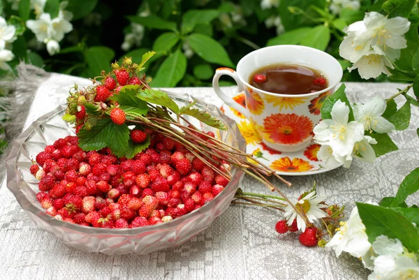 http://static9.depositphotos.com/1242694/1126/i/450/depositphotos_11261490-Wild-strawberry-in-a-beautiful-plate-and-a-cap-of-tea.jpg