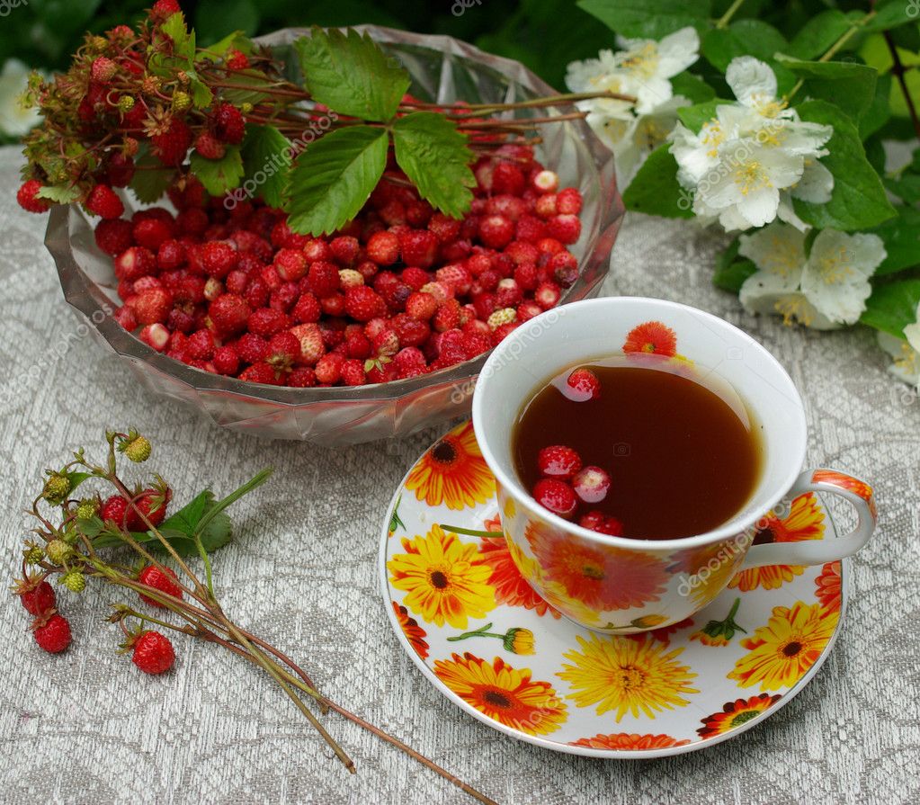 depositphotos_11261572-stock-photo-wild-strawberry-in-a-beautiful.jpg