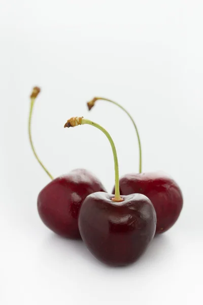 Cerezas dulces primer plano — Foto de Stock