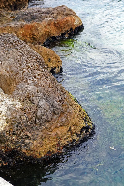 Meeresfelsen — Stockfoto