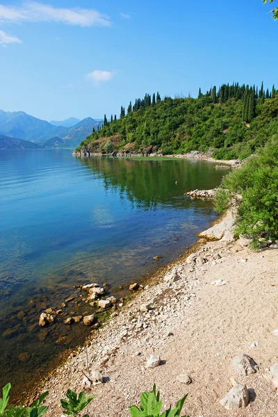 stock image Skadar lake