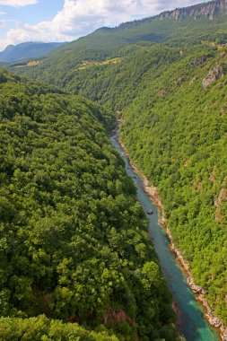 tara river Canyon