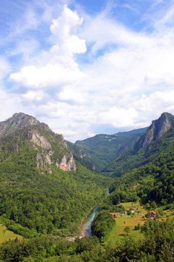 tara river Canyon