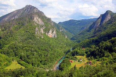 tara river Canyon