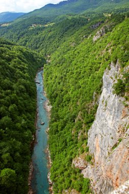 tara river Canyon