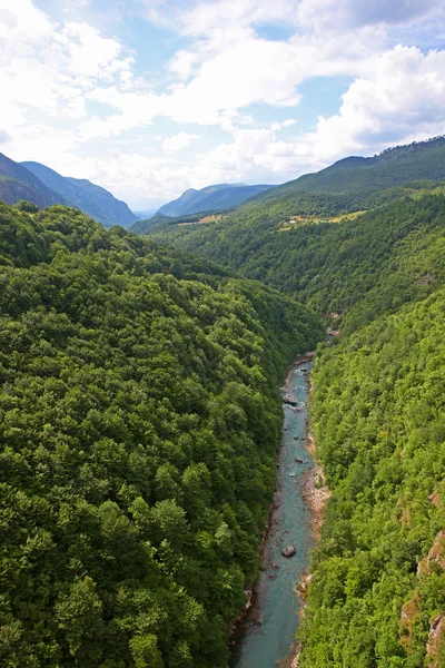 stock image Canyon of the Tara river