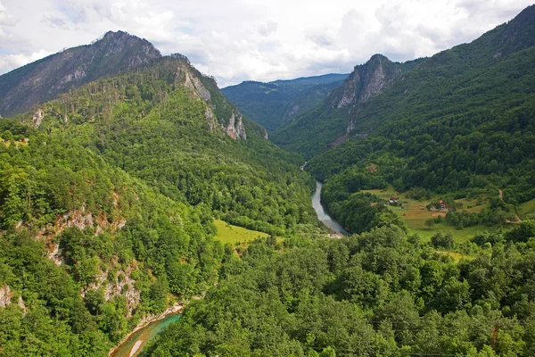 stock image Canyon of the Tara river