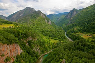 tara river Canyon