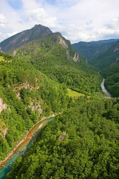 stock image Canyon of the Tara river