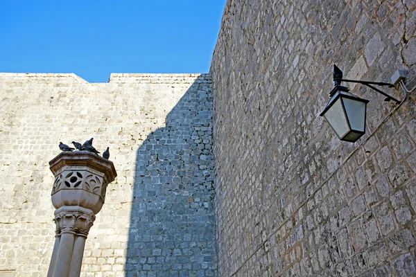 Pombos de Dubrovnik — Fotografia de Stock