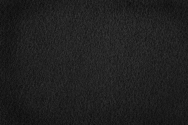Чёрный цвет кожи — стоковое фото