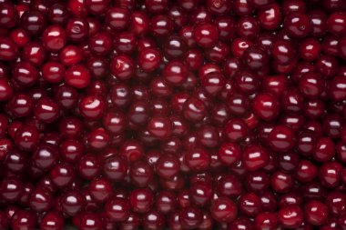 Cherry background clipart