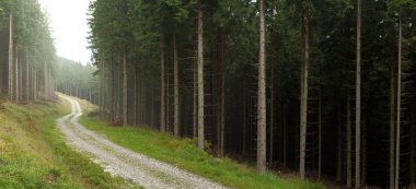 Panoramic landscape of mountains forest clipart