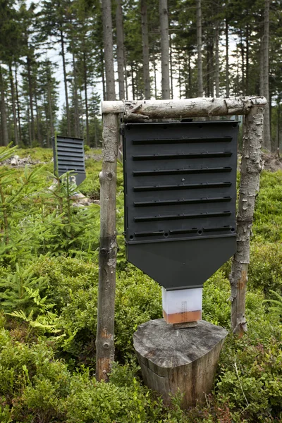 stock image Forest protect against tree pests