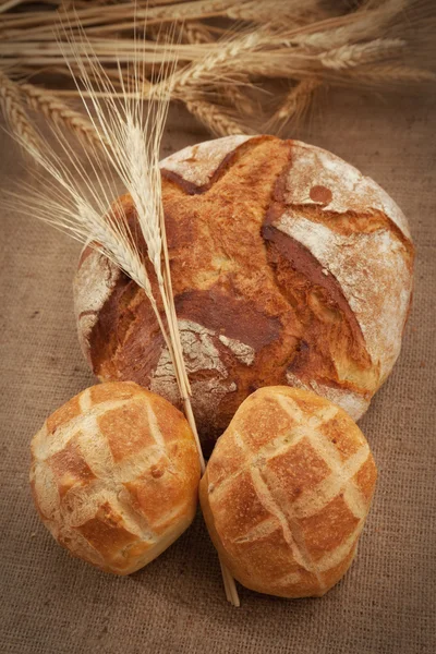 stock image Wheat and bread