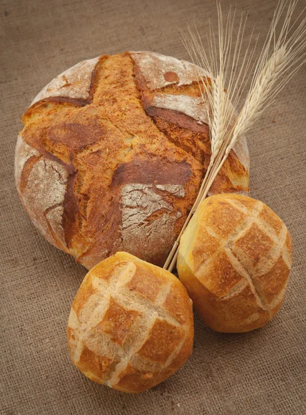 stock image Wheat and bread