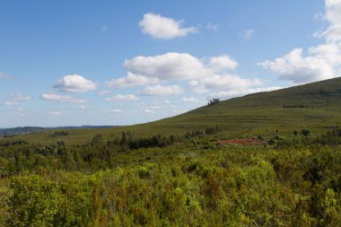 Hill peyzaj