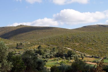 Hill peyzaj