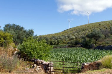 Hill peyzaj