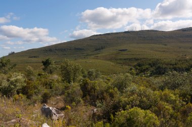 Hill peyzaj