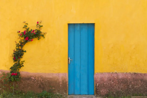 Żółta fasada — Zdjęcie stockowe