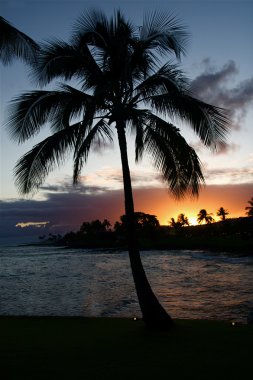 Hawaii Sunset clipart
